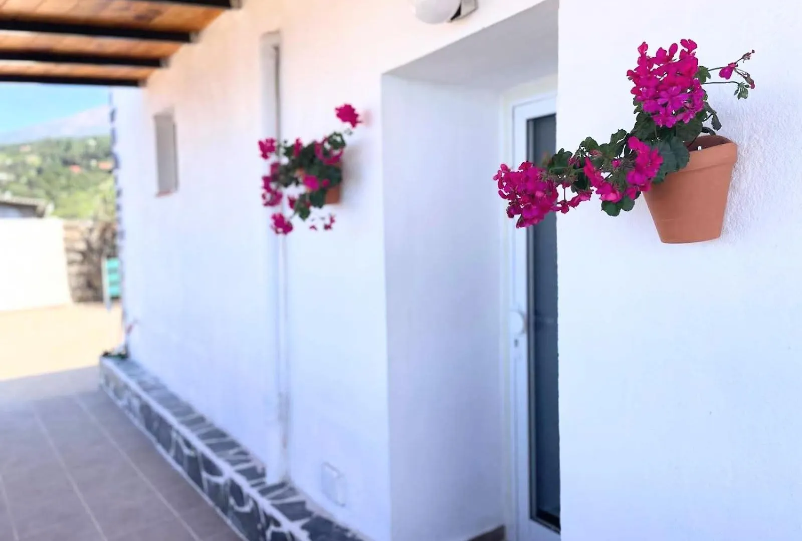 Casa De Leo Διαμέρισμα Icod De Los Vinos Ισπανία