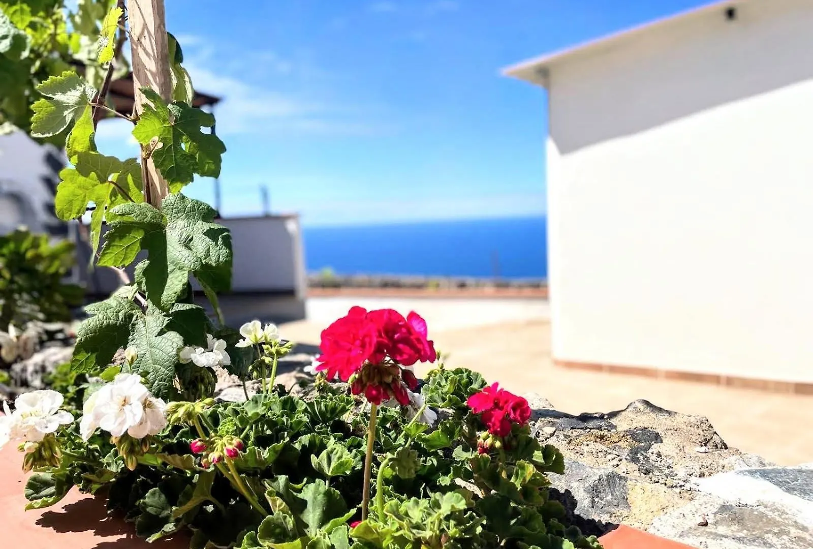 Casa De Leo Διαμέρισμα Icod De Los Vinos